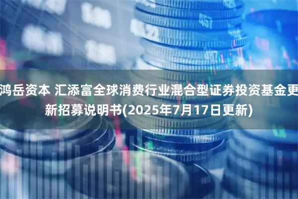 鸿岳资本 汇添富全球消费行业混合型证券投资基金更新招募说明书(2025年7月17日更新)